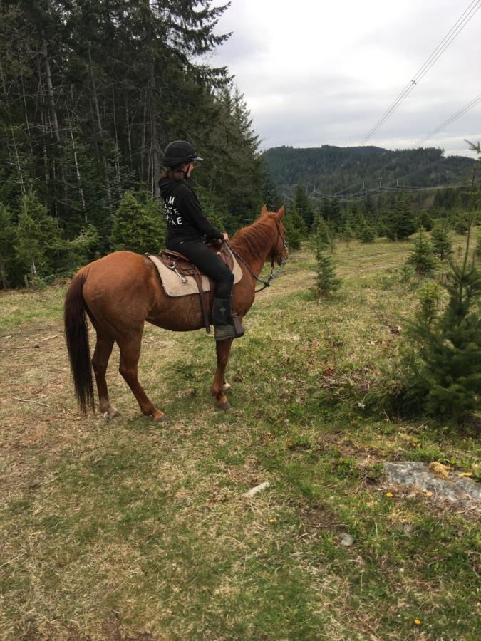 Farm stay Maple Heart Ranch Shawnigan Lake